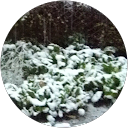 canvas prints ALV UjX0oHy 7HThdiPvL7861Rsx6HxJqEa G3lyE9PiCe5cnRIq3SJ1=s128 c0x00000000 cc rp mo