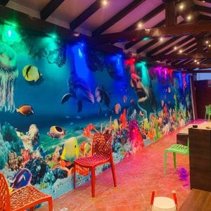 Vibrant Coral Reef Underwater Mural Print | Ocean Decor | Underwater Wallpaper | Coral Reef | Tropical Fish | Marine Life | Jellyfish | Custom Canvas and Murals Print Nepal
