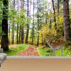 Forest Path Fallow Deer Wallpaper | Serene Nature Wall Decor Nepal | Forest Wallpaper | Deer Mural | Woodland Scene | Custom Mural Print Nepal | Custom Canvas Print Nepal