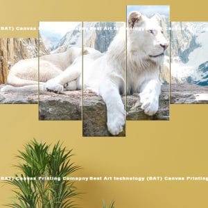 Majestic White Lions Mountain Canvas Print | Lions | Mountains | Snow | Nature | Animal Art | Home Decor | Custom Canvas Print Nepal | Custom Murals Print Nepal | Wallpaper Art