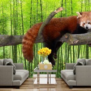 Red Panda Bamboo Mural Print | Animal Art | Red Panda Wallpaper | Bamboo Forest | Cute Animals | Wildlife | Custom Canvas and Murals Print Nepal