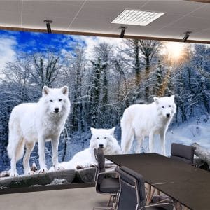 White Wolves Winter Mural Print | Animal Art | Wolf Wallpaper | Snow Scene | Winter Forest | Wildlife | Custom Canvas and Murals Print NepalWhite Wolves Winter Mural Print | Animal Art | Wolf Wallpaper | Snow Scene | Winter Forest | Wildlife | Custom Canvas and Murals Print Nepal