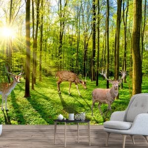 Deer Forest Sunlight Mural Print | Animal Art | Deer Wallpaper | Forest Scene | Sunlight | Nature | Custom Canvas and Murals Print Nepal